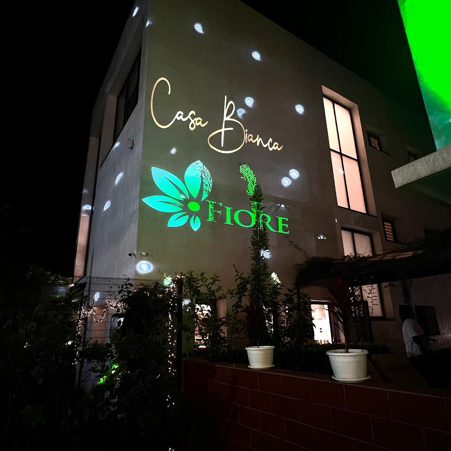 Building facade mapped with a green floral projection